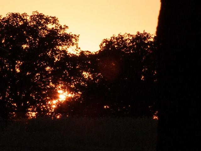 012-Sunset.jpg