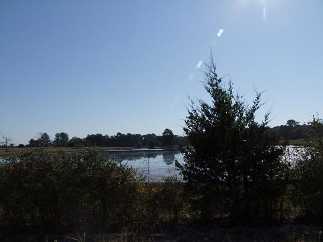 033-Pond.jpg