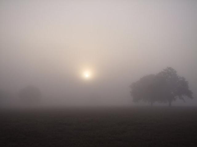 061-Sunrise.jpg