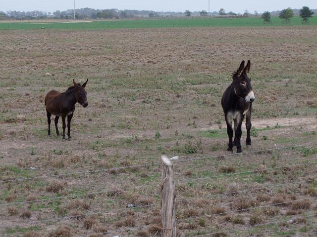 Kings-Kowboys-Monaville-11-19-2011-023.JPG