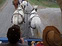 Kings-Kowboys-Monaville-11-19-2011-043