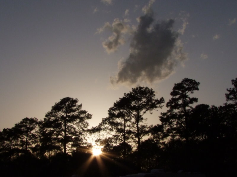 103-Sunset.jpg