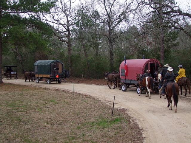 081-Wagons.jpg